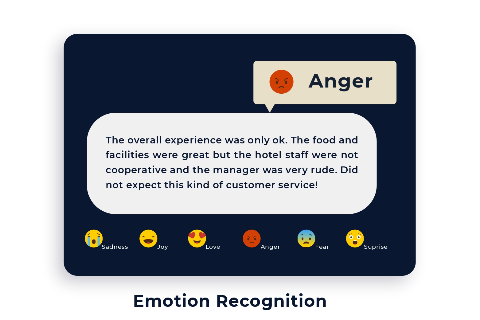 Emotion Recognition​_page